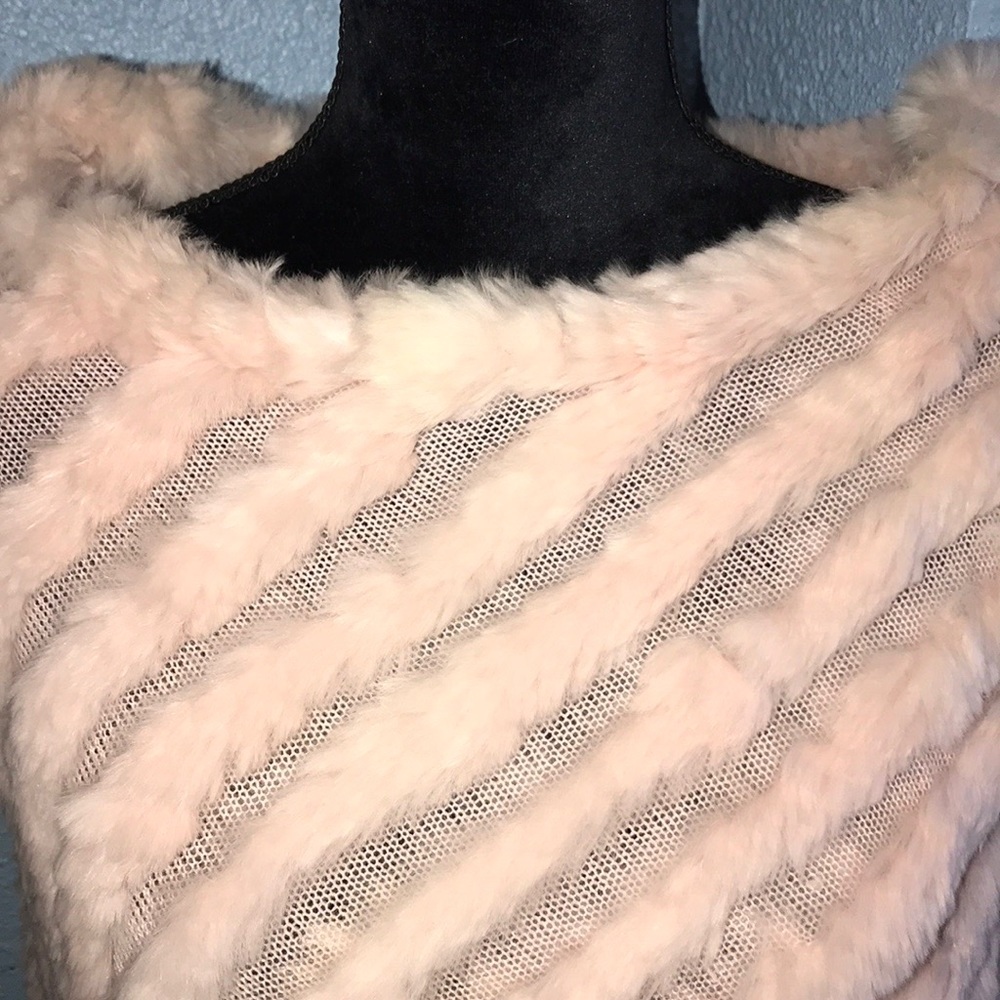 Real rabbit 💕 - Picture 3 of 4